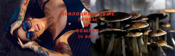 мяу мяу кристалл Снежинск