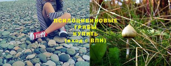 хмурый Слюдянка