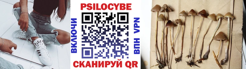 Галлюциногенные грибы ЛСД  Купить  Каменка 